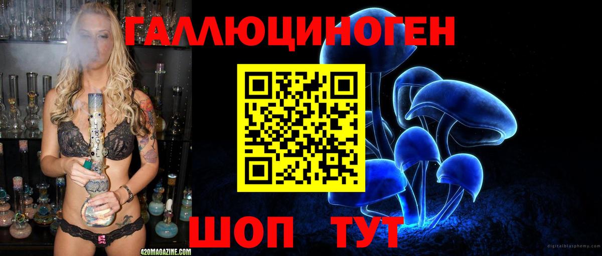 Галлюциногенные грибы Magic Shrooms  Вход с VPN  где купить   Муравленко 