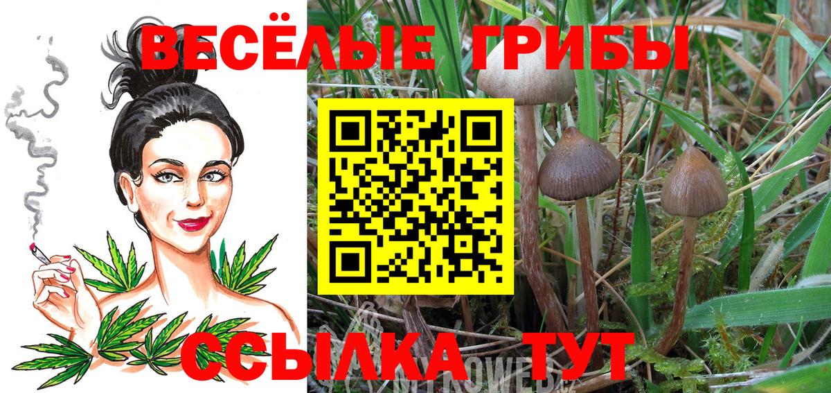 Галлюциногенные грибы прущие грибы Муравленко